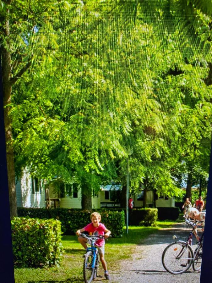 Apartment Mobil Clim 6 Personnes 3 Le Ried 3 Etoiles Proche Europa Park